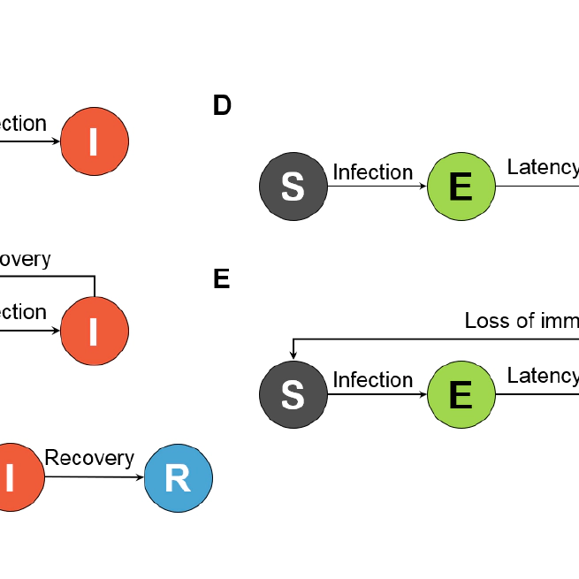 Human mobility in Epidemic Modeling