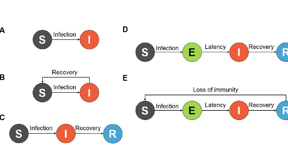 Human mobility in Epidemic Modeling